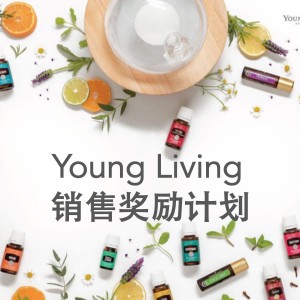 中國 - YL銷售獎勵計劃